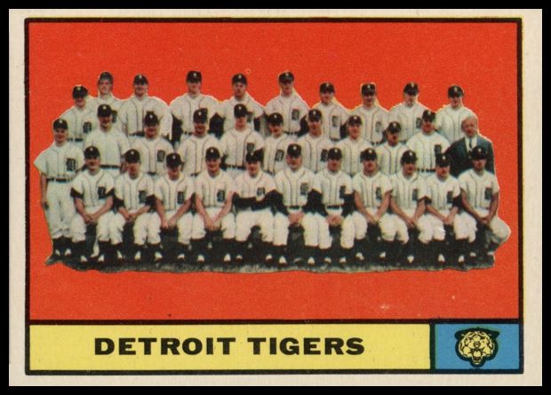 51 Tigers Team